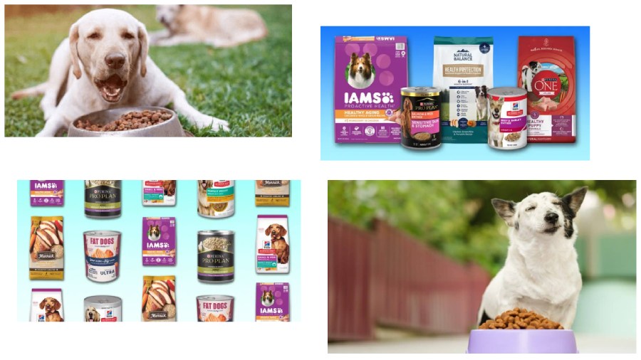 10 Best Inexpensive Dog Foods: Quality Nutrition on a Budget