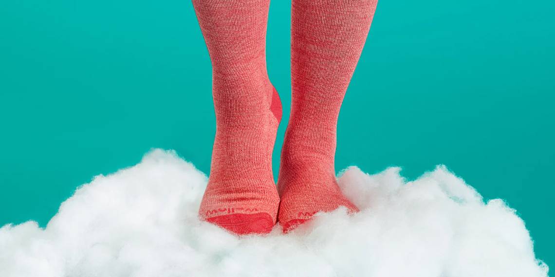 Wellow Where Every Pair Feels Like Home
