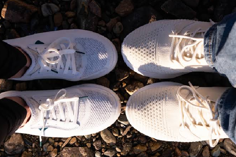 Vessi vs Allbirds - The Honest Comparison Nobody Actually Makes